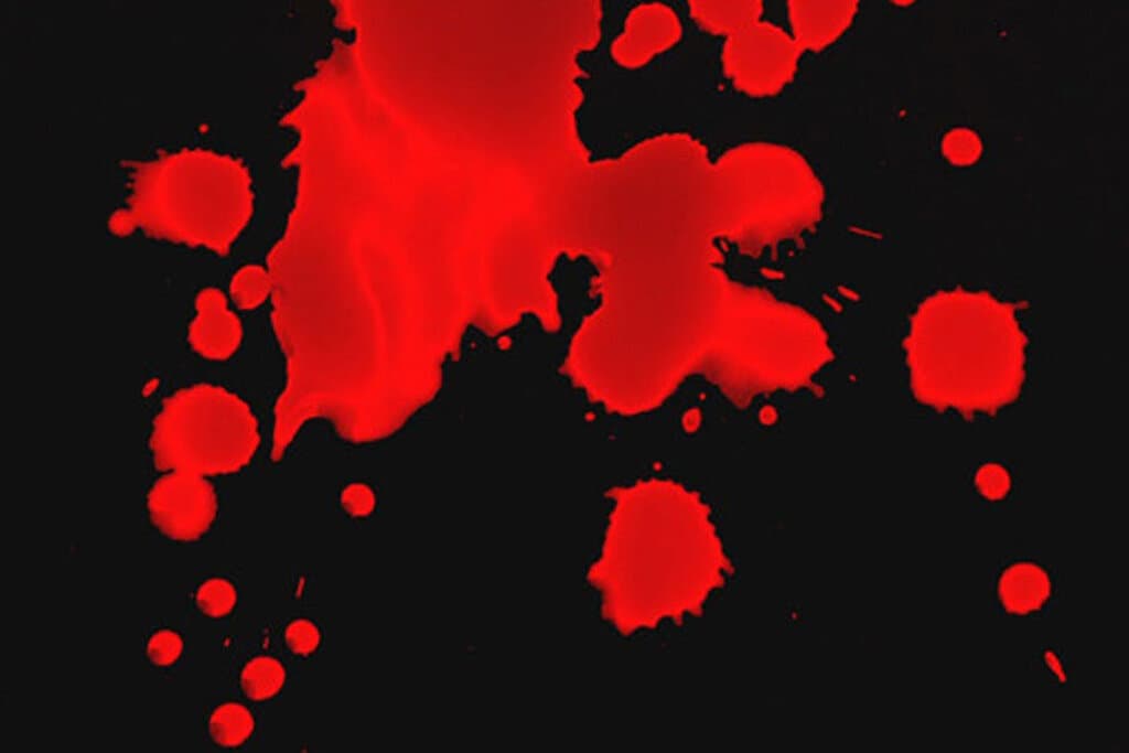 قاتل فراری در شمال کشور خوش می‌گذراند